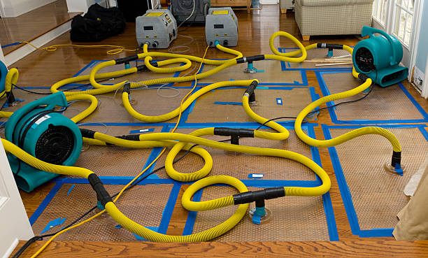 Professional Water Extraction technician working in Roscoe, TX